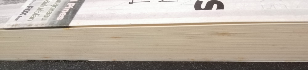 เมืองลวงคนเลือน (Pines) (มีตำหนิ โปรดอ่านรายละเอียด)