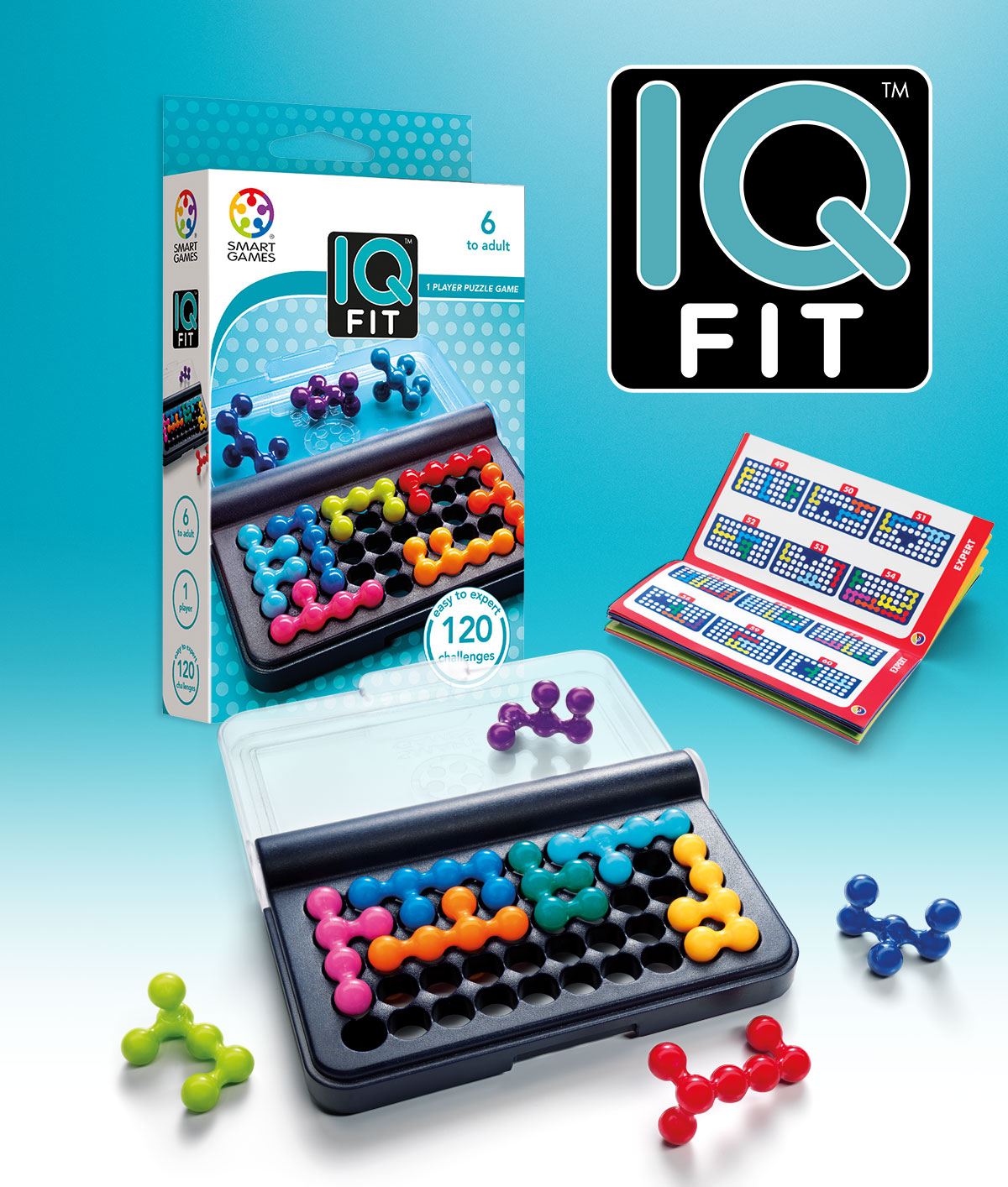 เกมอัจฉริยะ IQ Game 3D Puzzles Board Game