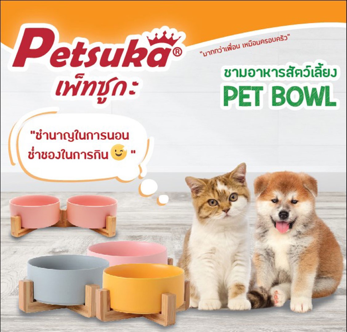 ชามเซรามิคสัตว์เลี้ยง Petsuka พร้อมฐานรองสไตล์ญี่ปุ่น สำหรับสุนัขและแมว สีเทา แบบคู่ 850 ml