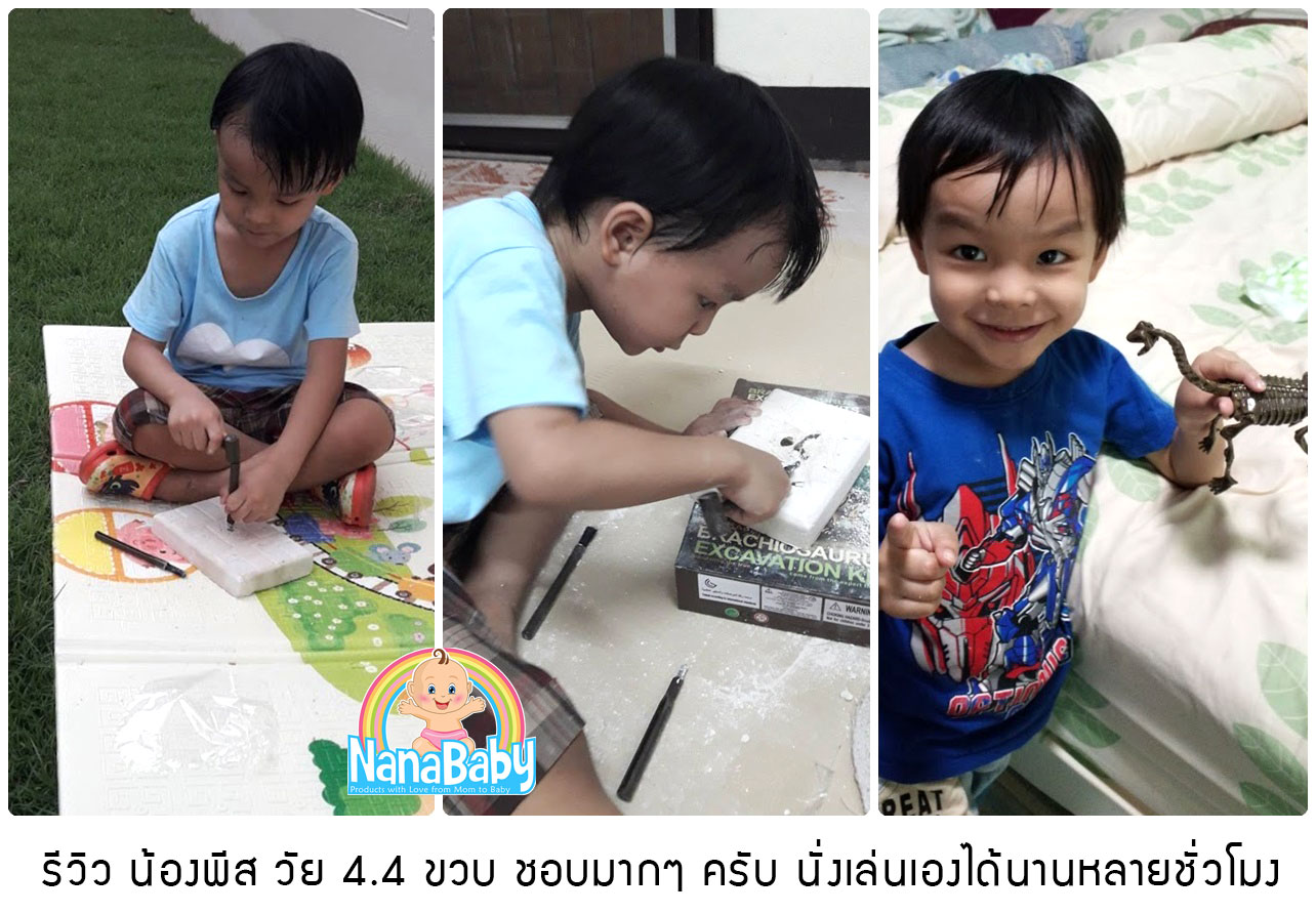 ของเล่นวิทยาศาสตร์ ชุดขุดฟอสซิลไดโนเสาร์ ชิ้นส่วนตัวต่อ 3D Skeleton Excuvation Kits