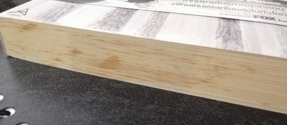 เมืองลวงคนเลือน (Pines) (มีตำหนิ โปรดอ่านรายละเอียด)