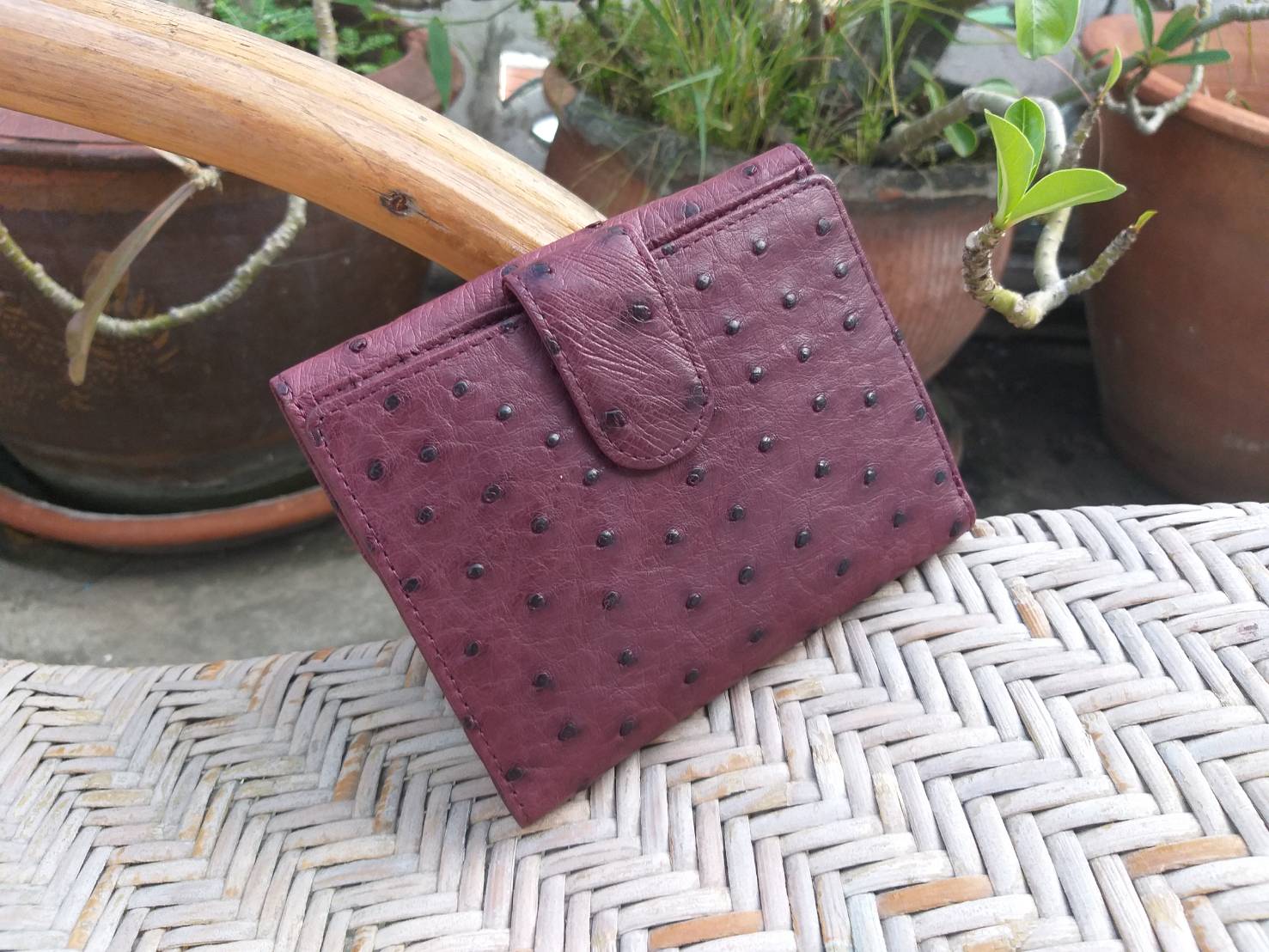 กระเป๋าสตางค์หนังนกกระจอกเทศ น่ารักมาก (ของใหม่)