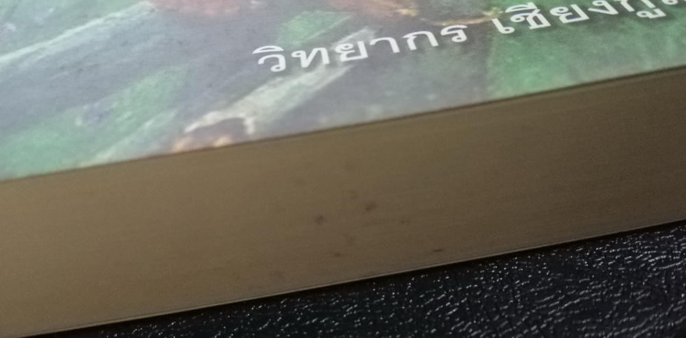 ความสุขแห่งชีวิต (The Human Comedy) (หนังสือตำหนิ กรุณาอ่านรายละเอียด)