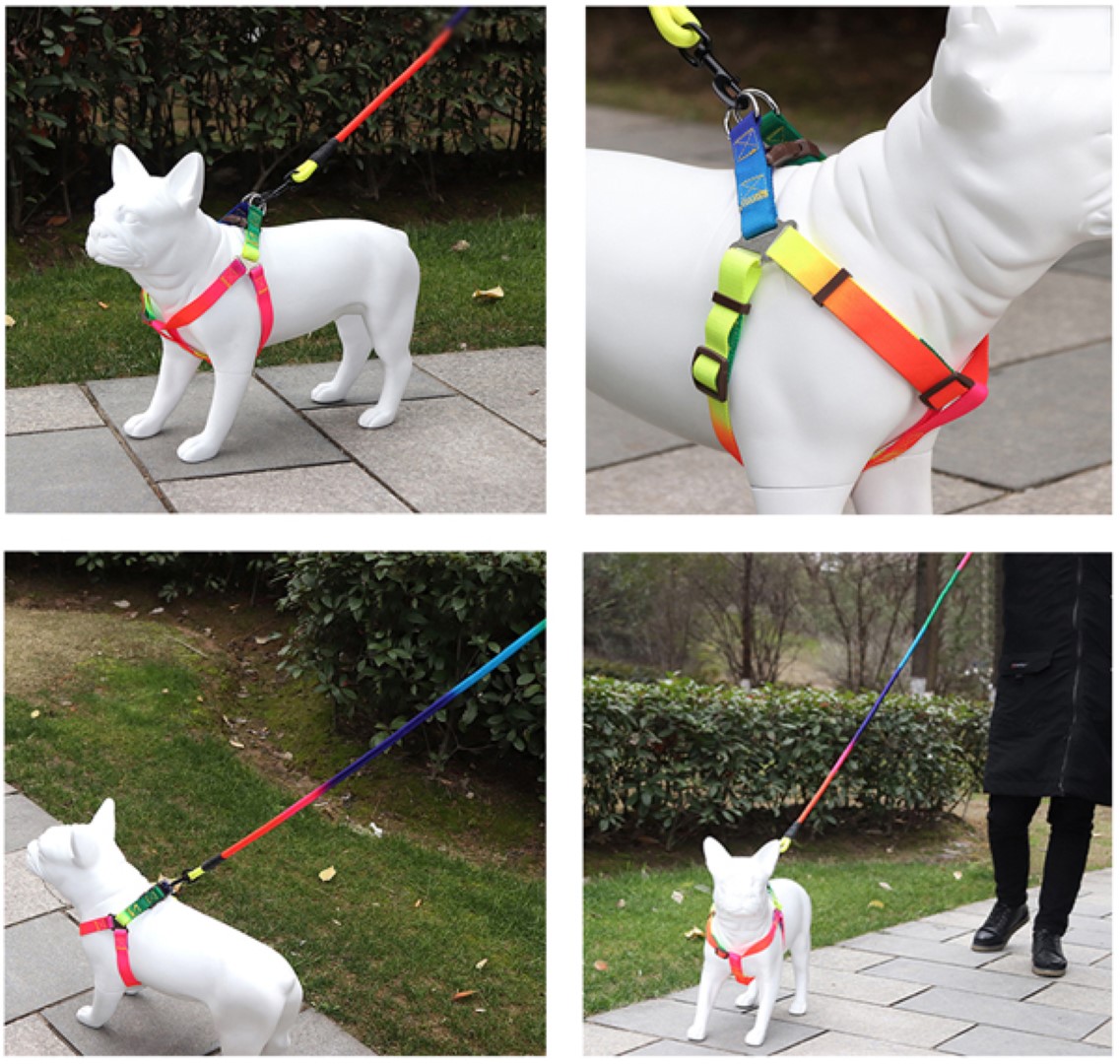 สายจูงสัตว์เลี้ยงพร้อมที่รัดอก Petsuka สีรุ้ง ขนาด L