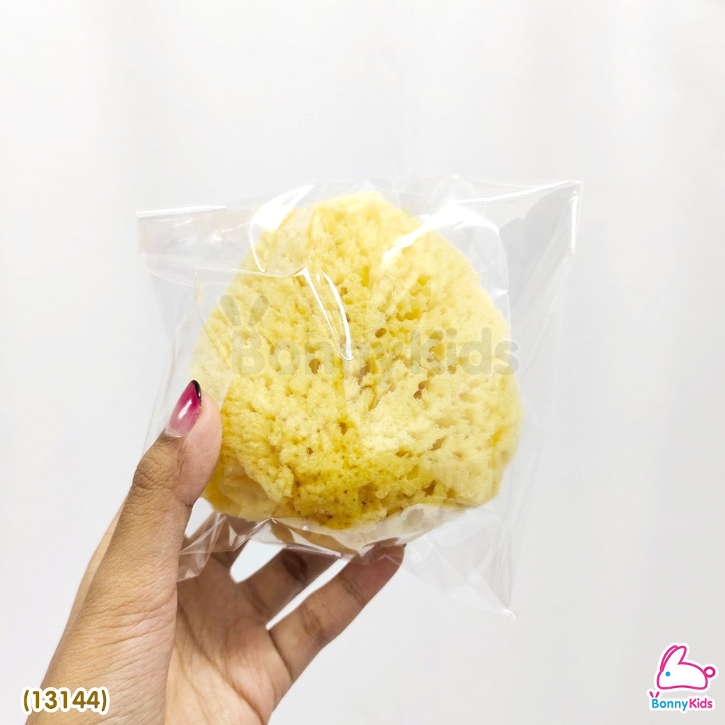 (13144) Pureen (เพียวรีน) Natural Sea Sponge ฟองน้ำธรรมชาติแท้ 100% ไซส์ XL