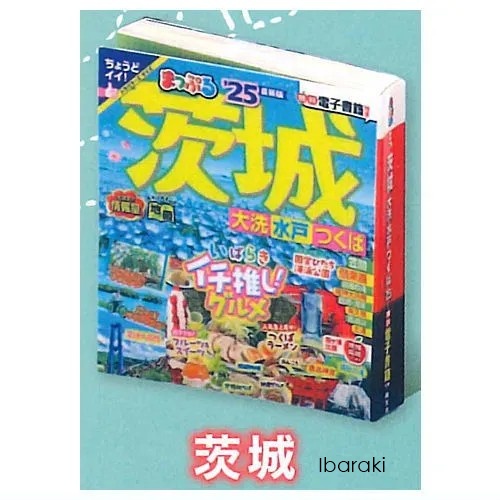 กาชาปองโมเดลหนังสือแนะนำท่องเที่ยวเล่มจิ๋ว Mapple Miniature Guidebook Vol. 4