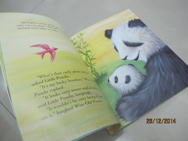 Lucky Bamboo ต้นไผ่นำโชค