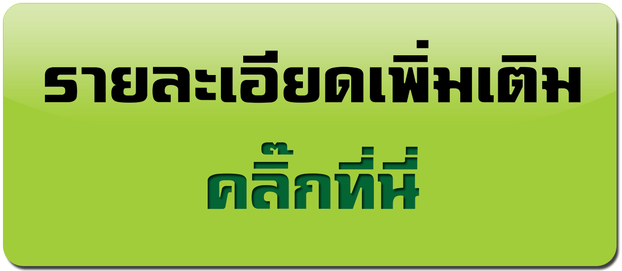เครื่องชาร์จและฟื้นฟูแบตเตอรี่รถยนต์ รุ่น 3PA