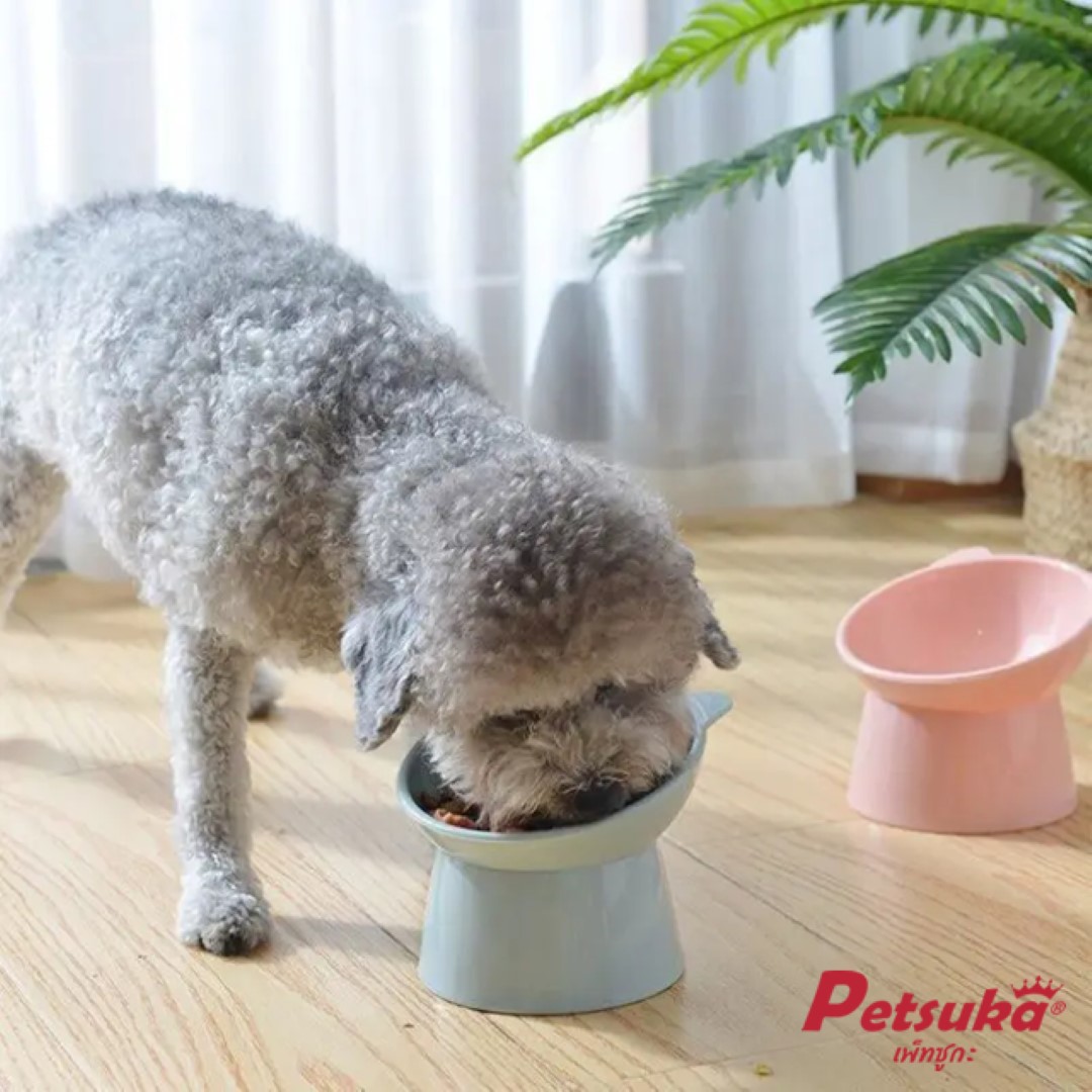ชามอาหารสัตว์เลี้ยง Petsuka สำหรับสุนัขและแมว ดีไซน์โมเดิร์นรูปแมว สีชมพู