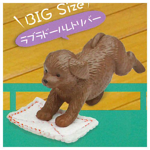 กาชาปองฟิกเกอร์น้องหมาถูพื้น V2