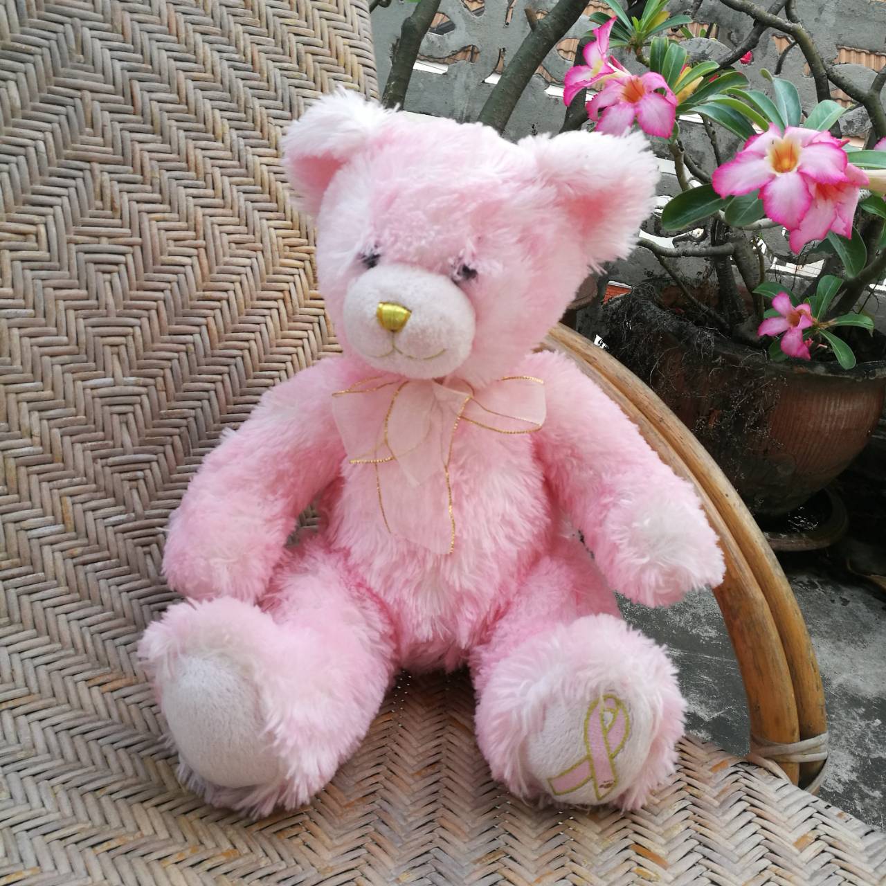 ตุ๊กตาหมีน้อยสีชมพู Build-A-Bear น่ารักมาก /ของใหม่/