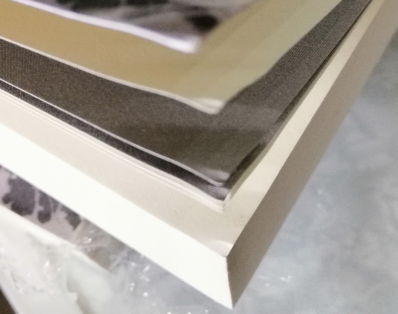 นักล่าแมมมอธ (The Mammoth Hunters) (มีตำหนิ โปรดอ่านรายละเอียดก่อนสั่ง) (Earth's Children Series #3)