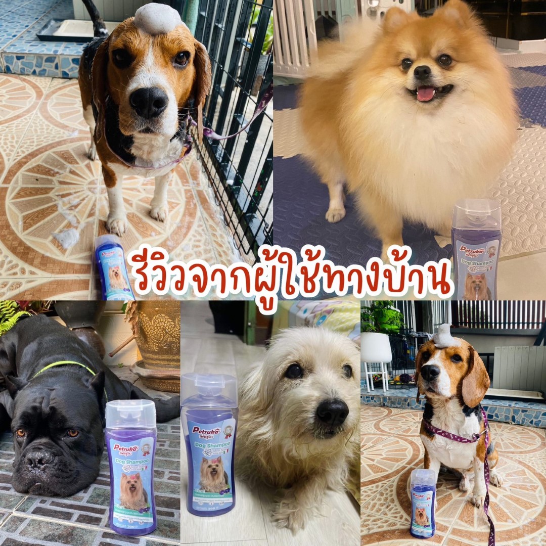 แชมพูสุนัขเพ็ทซูกะ 3in1 Silver Nano ขนาด 300ml