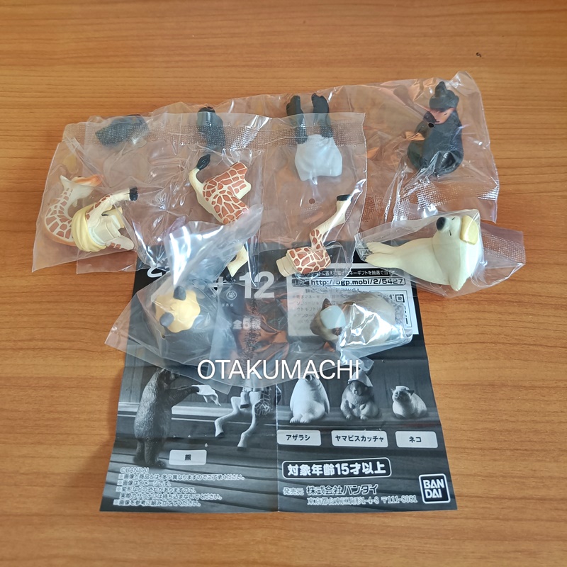 กาชาปองฟิกเกอร์สัตว์ซาวน่า Animal Sauna 12