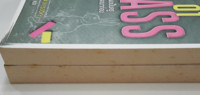 หนุ่มหน้าห้องหัวใจแกร่ง (Front of the Class) (หนังสือตำหนิ กรุณาอ่านรายละเอียด)