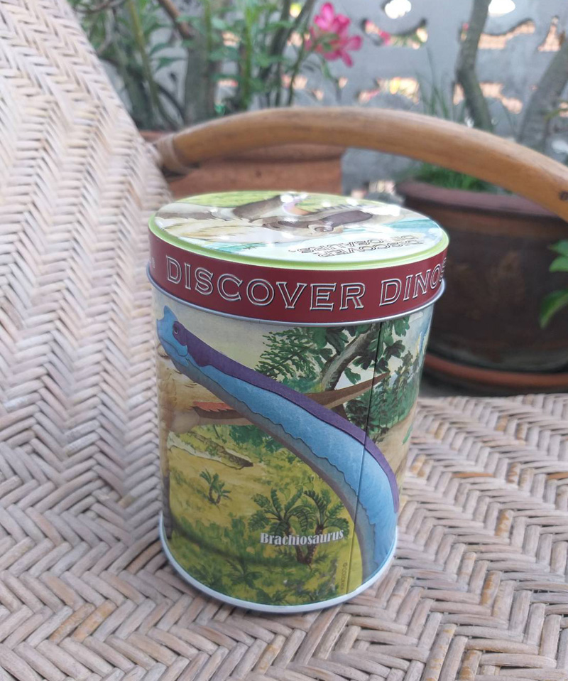 กระป๋องเอนกประสงค์ DINOSAURS (ของใหม่)