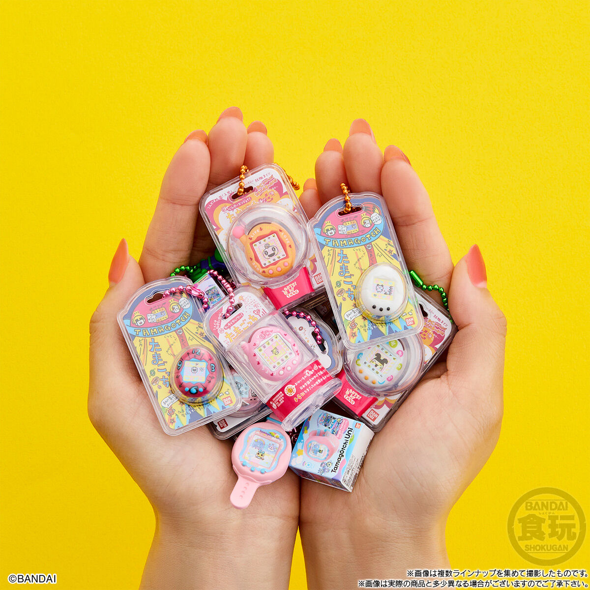 โมเดลทามาก๊อตจิขนาดจิ๋ว Tamagotchi Funny Egg Borochi with Package Charm 2