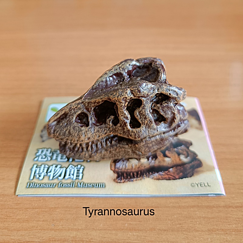 กาชาปองโมเดลซากฟอสซิล Dinosaur Fossil Museum