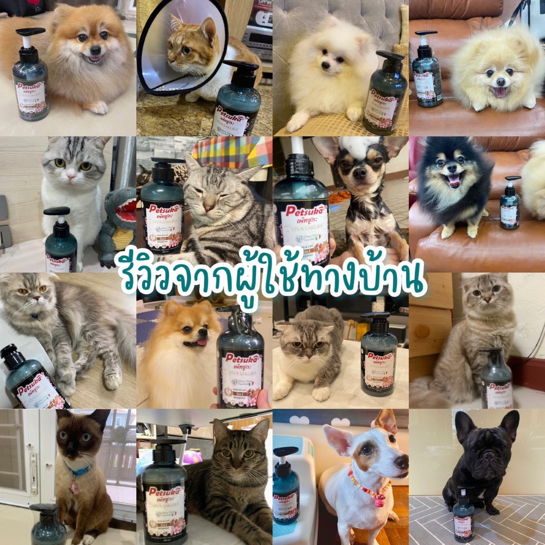 แชมพูสุนัขและแมวเพ็ทซูกะ 3in1 (พรีเมี่ยม) VIVA SAKURA ขนาด 400ml