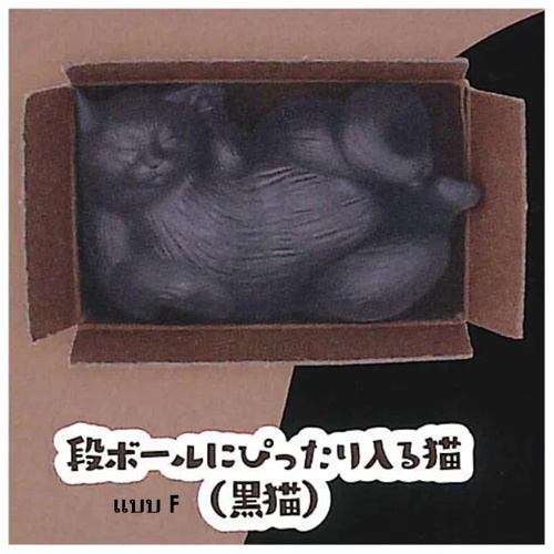 กาชาปองน้องแมว Cat is Liquid