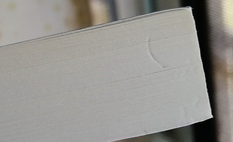 สาปสยองยิปซี (Thinner) (มีตำหนิ โปรดอ่านรายละเอียดก่อนสั่ง)