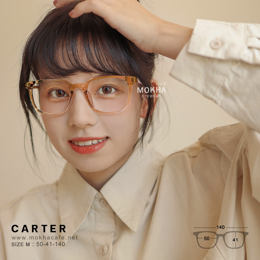CARTER - clear grey กรอบแว่นตา ทรงเหลี่ยม แกนขาโลหะ กว้าง 140 มม. (sizeM) H41