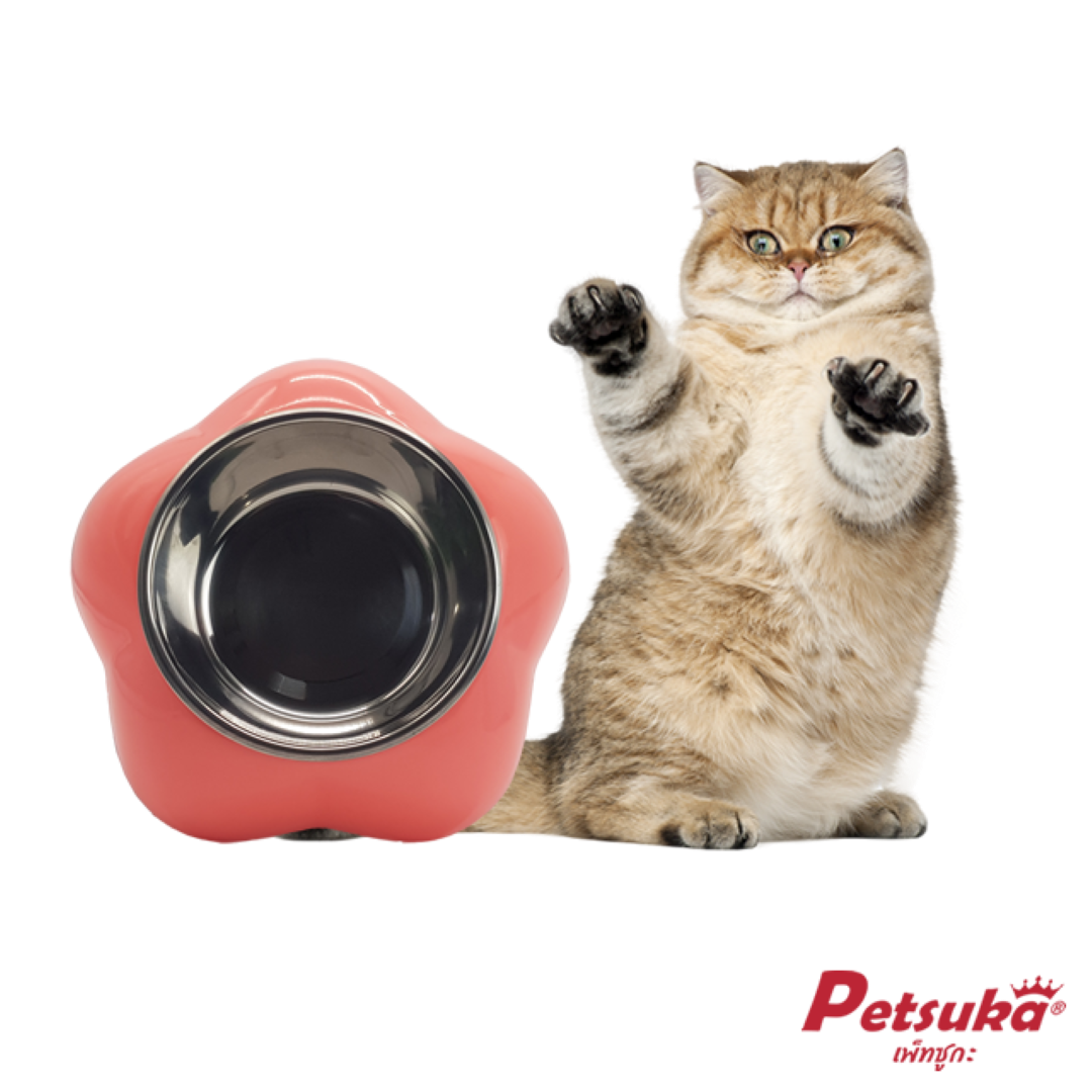 ชามอาหารสัตว์เลี้ยง Petsuka สำหรับสุนัขและแมว รูปดอกไม้ สีชมพู