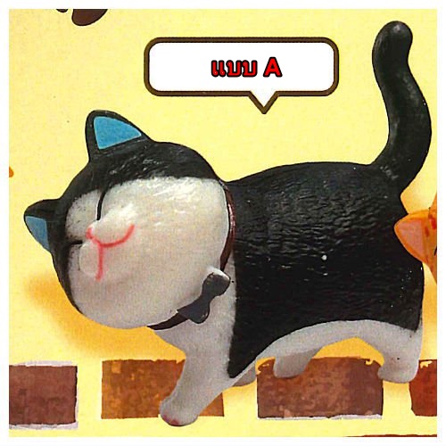 กาชาปองมาสคอทแมว KoTchi Minyaide