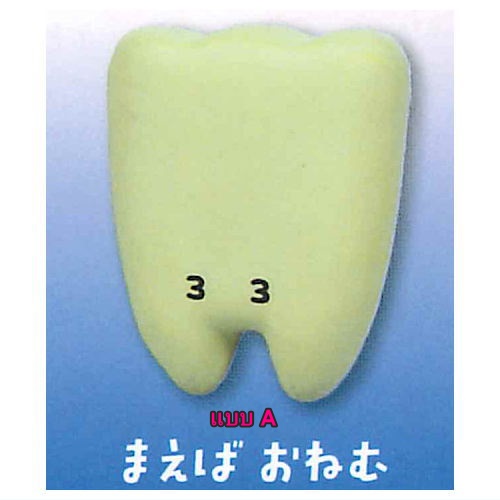 กาชาปองโมเดลฟัน Good Evening Teeth