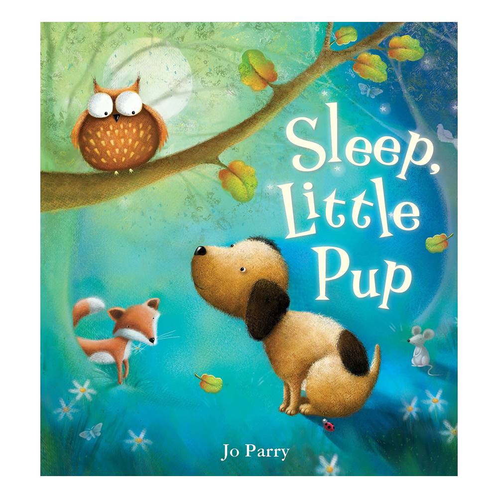 QED 5 Book Collection : Super Chimp, What's in your pocket?, Sleep little pup, Hello Mr. Moon, The perfect job for an elephant เซตนิทานภาพ 5 เล่ม