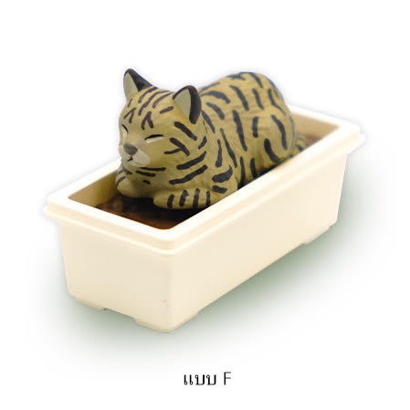กาชาปองมาสคอทแมว Poka Poka Planter