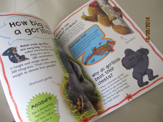 Miles Kelly : First Questions And Answers - Why do chimps kiss? หนังสือคำถามแรกและคำตอบ - ทำไมชิมแปนซีจูบกัน