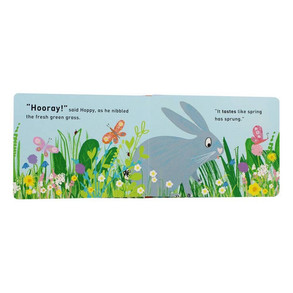 Tim Hopgood : Board Book : Hooray For Hoppy บอร์ดบุ๊คส์ ของ ทิม ฮอพกู๊ด รางวัล Early Year Award Winner Best Emerging Illustrator สอนเรื่องประสาทสัมผัสทั้งห้า จากผู้แต่ง Wow Said the Owl