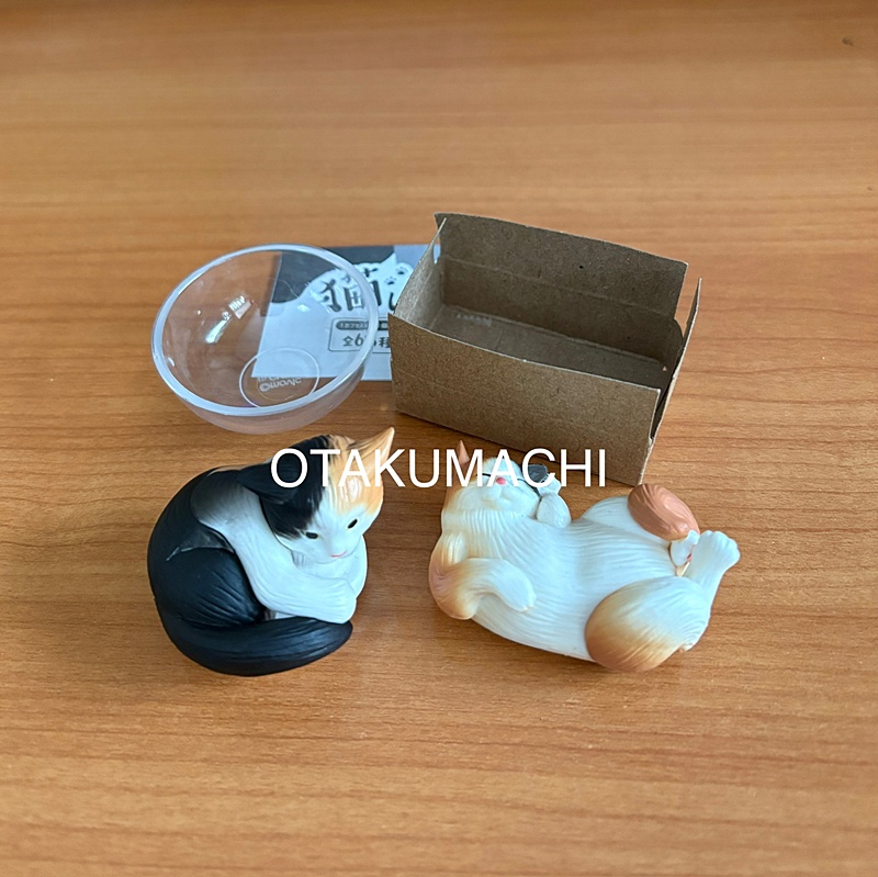 กาชาปองน้องแมว Cat is Liquid