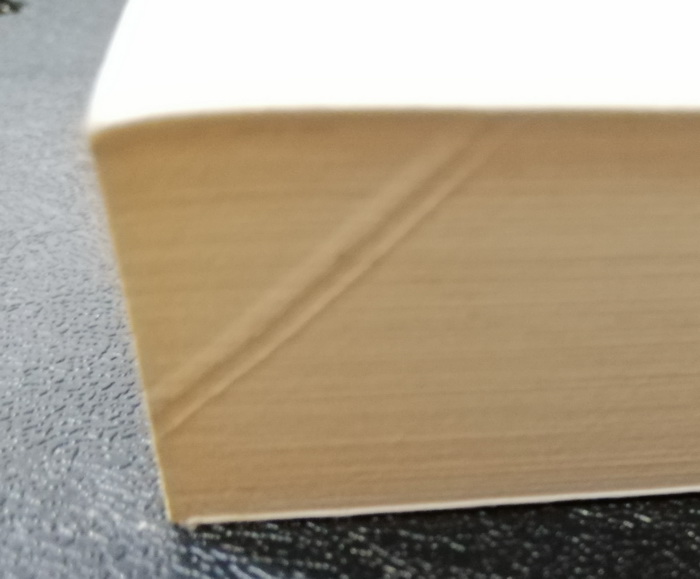 ภาพชีวิตที่เขียนด้วยน้ำตา