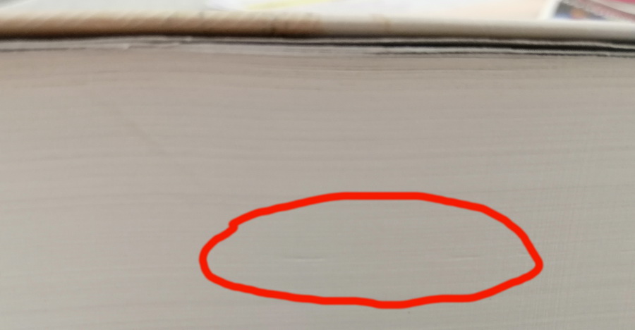 เงาสีขาว (ปกอ่อน) (แดนอรัญ แสงทอง) (มีตำหนิ โปรดอ่านรายละเอียด)