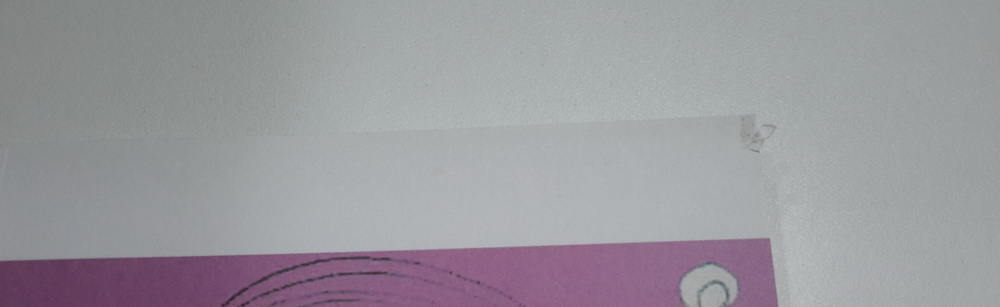 เอาผัวฝรั่ง