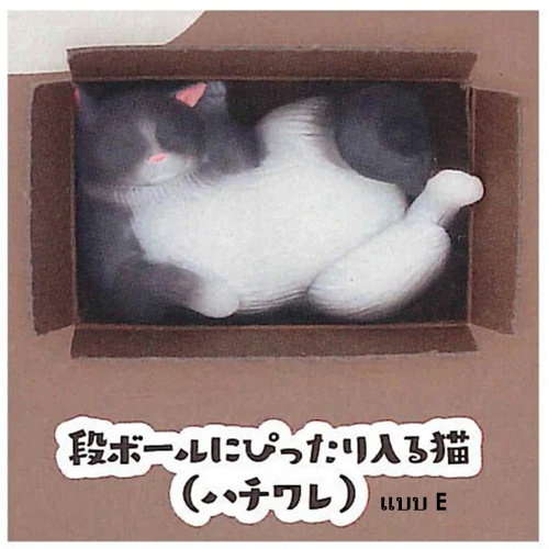 กาชาปองน้องแมว Cat is Liquid