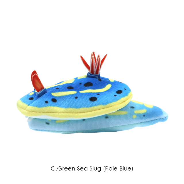 กาชาปองตุ๊กตาทากทะเล Sea Slug Plush Toy 2
