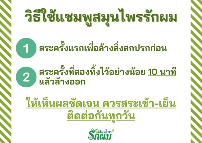 แชมพูสมุนไพรรักผม 250ml x 3 ขวด ยาสระผมแก้รังแคเชื้อรา แก้ผมร่วง แก้ปัญหาผมมัน ผมคัน ชะลอผมหงอก ช่วยให้ผมเกิดใหม่ ไม่ต้องใช้ครีมนวดผม อุดมด้วยสมุนไพรธรรมชาติถึง 9 ชนิด ใช้ได้ทุกวัย สระได้ทุกวัน ปราศจากสารเคมีที่เป็นอันตราย