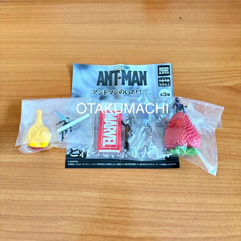 กาชาปองแอนท์แมน Everyday life with Ant-Man ครบเซ็ทสามแบบ