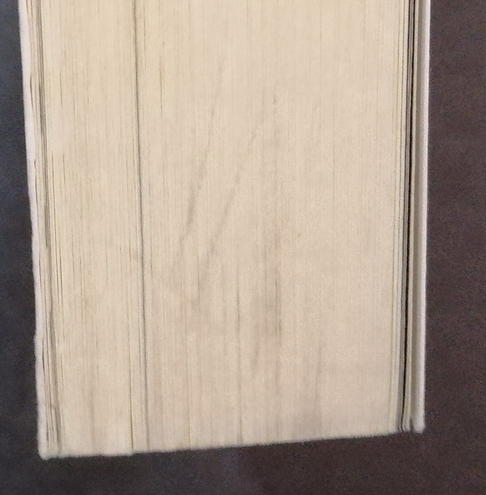 เกมอันตราย สายลับไร้ชื่อ (เล่ม 1) (I Am Pilgrim) (มีตำหนิ โปรดอ่านรายละเอียด)