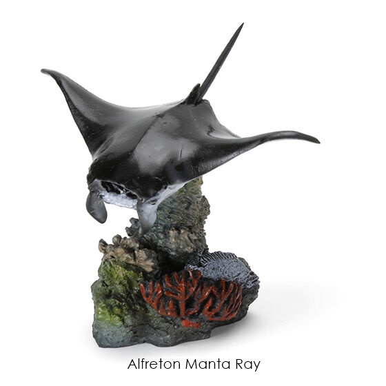 กาชาปองฟิกเกอร์สัตว์ทะเล Mini Collection of the Great Creature Encyclopedia: Coral Reef Creatures