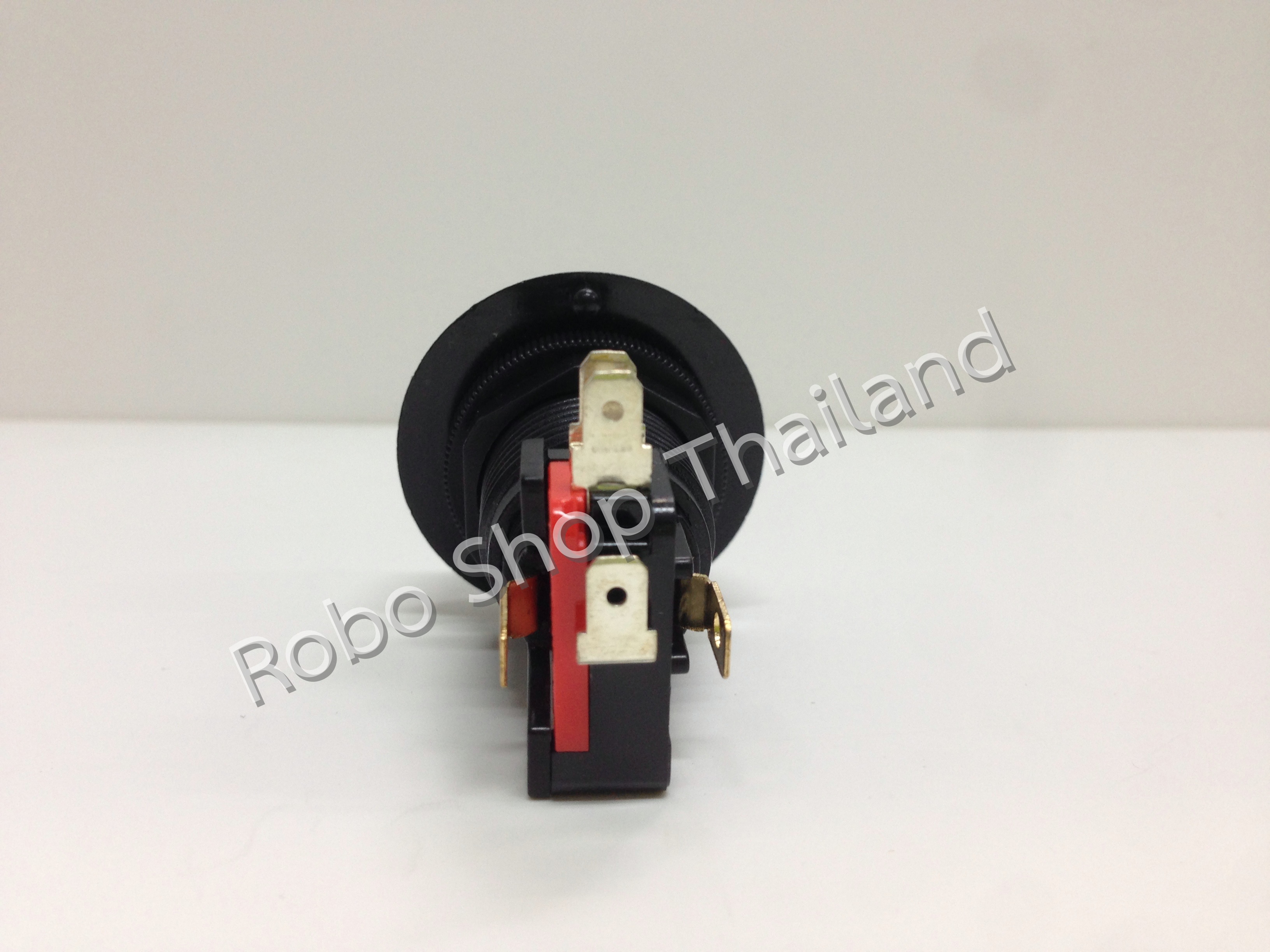 Switch LED 12V. (Green)