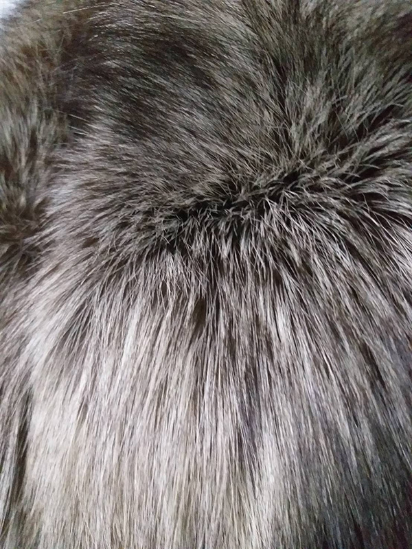 ผ้าพันคอ SAGA FOX สวยจับใจ (ของใหม่)