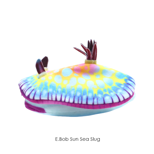 กาชาปองตุ๊กตาทากทะเล Sea Slug Plush Toy 2