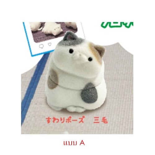 กาชาปองฟิกเกอร์น้องแมวอวบ Cowman Chubby Cat 3rd Flocky Figure