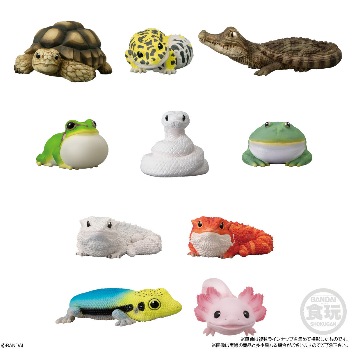 ฟิกเกอร์สตว์ต่างๆ Tenori Friends 8