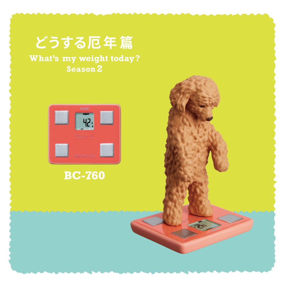 กาชาปองฟิกเกอร์สัตว์ชั่งน้ำหนัก Tanita x Panda no Ana: What's My Weight Today? Season 2