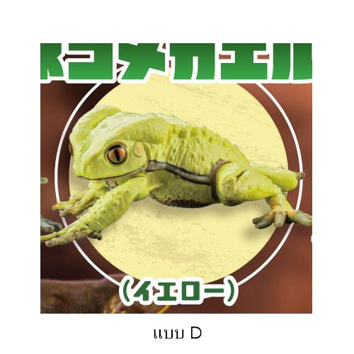 กาชาปองฟิกเกอร์กบ สเกล 1/1 Common Rain Frog & Waxy Monkey Tree Frog 2